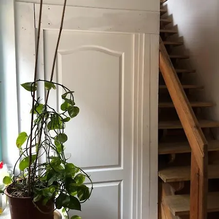 Makvirag Vendeghaz 3*