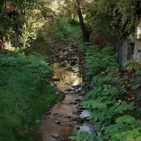 Makvirag Vendeghaz Гостевой дом Зебегень